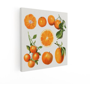 Artaza Canvas Schilderij Verschillende Sinaasappels en Sinaasappelschijfjes met Bladeren op een Lichte Achtergrond - 40x40 cm - Wanddecoratie Woonkamer - Schilderijen - Muurdecoratie
