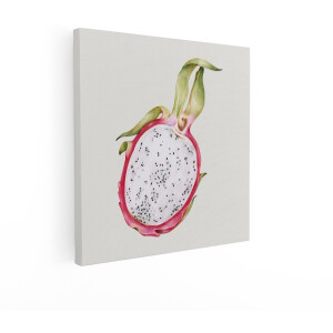 Artaza Canvas Schilderij Gedetailleerde Illustratie van een Doorgesneden Pitahaya met Witte Pulp en Zwarte Pitjes - 50x50 cm - Wanddecoratie Woonkamer - Schilderijen - Muurdecoratie