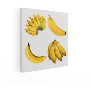 Artaza Canvas Schilderij Vier Verschillende Bananenillustraties in Aquarel op een Lichte Achtergrond - 50x50 cm - Wanddecoratie Woonkamer - Schilderijen - Muurdecoratie