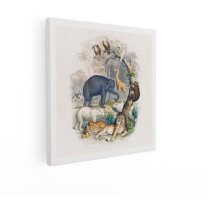 Artaza Canvas Schilderij Dieren - 50x50 cm - Wanddecoratie Vintage - Muurdecoratie Leeuw En Tijger - Decoratie Olifant En Giraffe