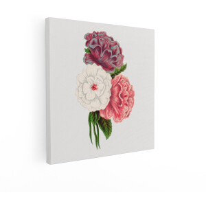 Artaza Canvas Schilderij Vintage Botanische Illustratie van Drie Bloeiende Pioenrozen in Roze en Witte Tinten - 70x70 cm - Wanddecoratie Woonkamer - Schilderijen - Muurdecoratie