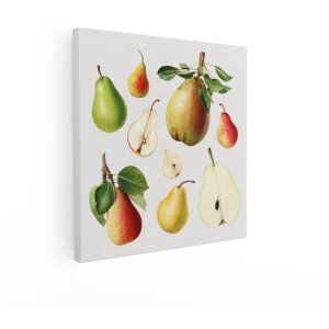 Artaza Canvas Schilderij Verschillende Soorten Peren - Heel en Doorgesneden - met Bladeren - 50x50 cm - Wanddecoratie Woonkamer - Schilderijen - Muurdecoratie