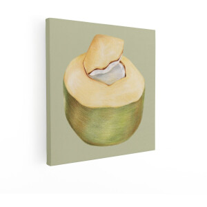 Artaza Canvas Schilderij Gedetailleerde Tekening van een Verse Kokosnoot met een Open Bovenkant - 50x50 cm - Wanddecoratie Woonkamer - Schilderijen - Muurdecoratie