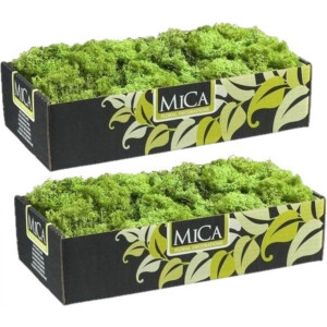 Mica Decorations Rendiermos - 3x pakjes - 500 gram - groen - hobby mos - decoratie materialen