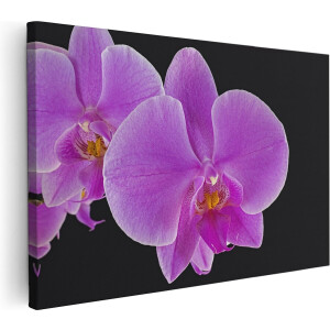 Artaza Canvas Schilderij Licht Paarse Orchidee - Bloem - 90x60 - Foto Op Canvas - Canvas Print - Muurdecoratie