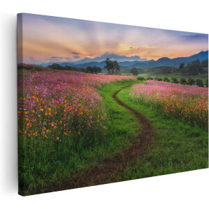 Artaza Canvas Schilderij Kosmos Bloemenveld Met Een Pad - Bloemen - 90x60 - Foto Op Canvas - Canvas Print - Muurdecoratie
