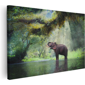 Artaza Canvas Schilderij Vrolijke Olifant In Het Water - 60x40 - Foto Op Canvas - Canvas Print