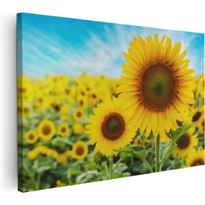 Artaza Canvas Schilderij Zonnebloemen Veld - 60x40 cm - Wanddecoratie Woonkamer - Schilderijen - Muurdecoratie