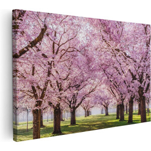 Artaza Canvas Schilderij Roze Bloesembomen Park - Bloemen - 90x60 - Foto Op Canvas - Canvas Print