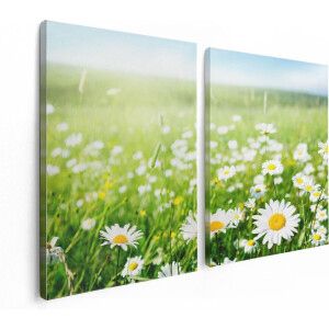 Artaza Canvas Schilderij Tweeluik Bloemenveld Van Madeliefjes - Bloemen - 120x80 - Foto Op Canvas - Canvas Print