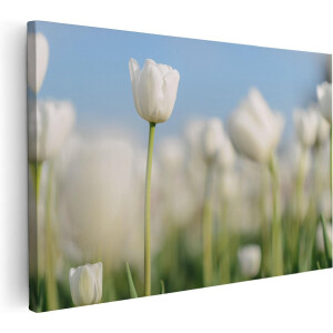 Artaza Canvas Schilderij Witte Tulpen - Bloemen - 120x80 - Groot - Foto Op Canvas - Wanddecoratie Woonkamer