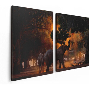 Artaza Canvas Schilderij Tweeluik Twee Olifanten In Het Bos - 120x80 - Foto Op Canvas - Canvas Print