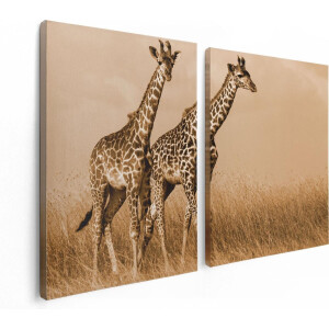 Artaza Canvas Schilderij Tweeluik Twee Giraffes In Het Veld - 120x80 - Foto Op Canvas - Canvas Print