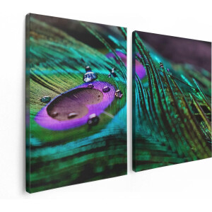 Artaza Canvas Schilderij Tweeluik Kleurrijke Pauw Veer Met Waterdruppels  - 120x80 - Foto Op Canvas - Canvas Print