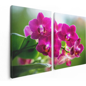 Artaza Canvas Schilderij Tweeluik Roze Orchidee Bloemen - 120x80 - Foto Op Canvas - Canvas Print