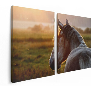 Artaza Canvas Schilderij Tweeluik Paard In De Weide Tijdens Zonsondergang - 120x80 - Foto Op Canvas - Canvas Print