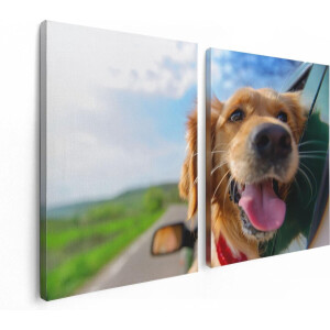 Artaza Canvas Schilderij Tweeluik Golden Retriever Hond Uit Een Auto Raam - 120x80 - Foto Op Canvas - Canvas Print