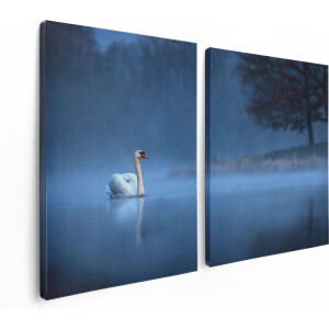 Artaza Canvas Schilderij Tweeluik Zwaan op het Water tussen de Mist - 120x80 - Foto Op Canvas - Canvas Print