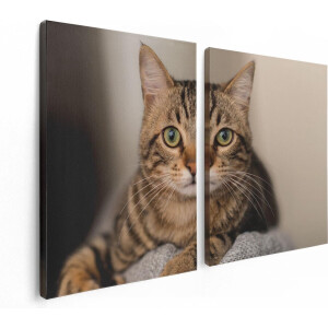 Artaza Canvas Schilderij Tweeluik Kat Met Wijde Ogen - 120x80 - Foto Op Canvas - Canvas Print