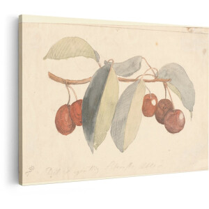 Artaza Canvas Schilderij Gedetailleerde Aquareltekening van Rijpe Kersen aan een Tak met Bladeren - 90x60 cm - Wanddecoratie Woonkamer - Schilderijen - Muurdecoratie