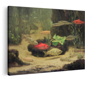 Artaza Canvas Schilderij Schilderij van Diverse Vissen in een Aquarium met Waterplanten en Zandbodem - 120x80 cm - Groot - Wanddecoratie Woonkamer - Schilderijen - Muurdecoratie