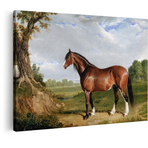 Artaza Canvas Schilderij Paard - 90x60 cm - Wanddecoratie Dieren - Muurdecoratie Landelijk Landschap - Schilderijen Op Canvas Natuur