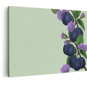 Artaza Canvas Schilderij Plantenillustratie van Pruimen met Paarse Bloesems aan een Tak - 30x20 cm - Klein - Wanddecoratie Woonkamer - Schilderijen - Muurdecoratie