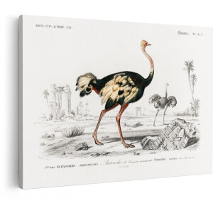 Artaza Canvas Schilderij Gekleurde Illustratie van Struisvogels in een Woestijnlandschap met Ruïnes - 120x80 cm - Groot - Wanddecoratie Woonkamer - Schilderijen - Muurdecoratie