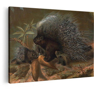 Artaza Canvas Schilderij Stekelvarken - 120x80 cm - Wanddecoratie Dieren - Muurdecoratie Vintage - Decoratie Natuur Schilderij