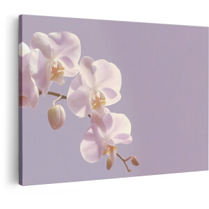 Artaza Canvas Schilderij Orchidee - 90x60 cm - Wanddecoratie Bloemen - Muurdecoratie Witte Bloesem - Schilderijen Op Canvas Woonkamer - Wit