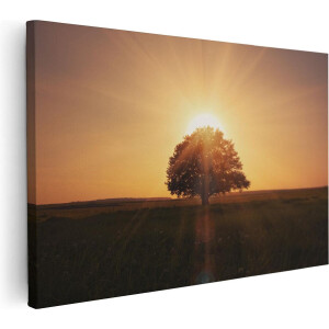 Artaza Canvas Schilderij Zonsondergang Achter Een Grote Boom - 60x40 - Foto Op Canvas - Canvas Print