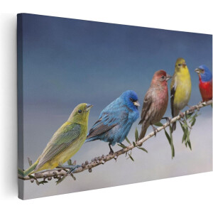 Artaza Canvas Schilderij Vogels Op Tak - 60x40 cm - Wanddecoratie Kleurrijke Vogels - Muurdecoratie Woonkamer - Schilderijen Op Canvas