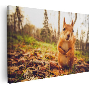 Artaza Canvas Schilderij Eekhoorn in het Bos tijdens de Herfst - 90x60 - Foto Op Canvas - Canvas Print - Muurdecoratie