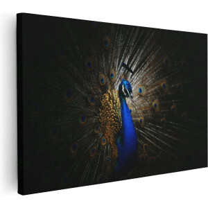 Artaza Canvas Schilderij Blauwe Pauw Met Grote Veren - 120x80 cm - Groot - Wanddecoratie Woonkamer - Schilderijen - Muurdecoratie