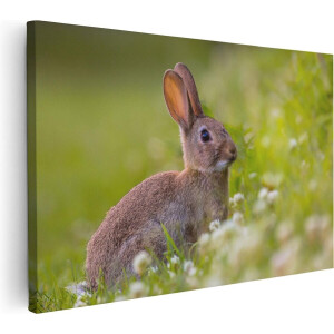 Artaza Canvas Schilderij Konijn Tussen De Witte Bloemen - 120x80 - Groot - Foto Op Canvas - Wanddecoratie Woonkamer