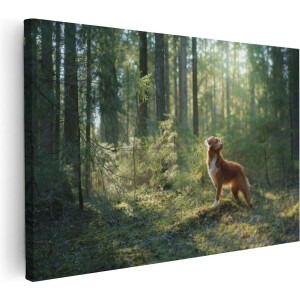 Artaza Canvas Schilderij Retriever Hond In Het Bos Met Zon - 120x80 - Groot - Foto Op Canvas - Canvas Print