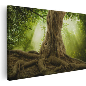 Artaza Canvas Schilderij Grote Boom In Het Bos Met Wortels - 90x60 - Foto Op Canvas - Canvas Print - Muurdecoratie