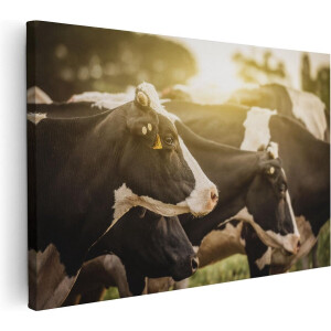 Artaza Canvas Schilderij Zwart Wit Koeien In De Wei Met Zon - 120x80 - Groot - Foto Op Canvas - Wanddecoratie Woonkamer