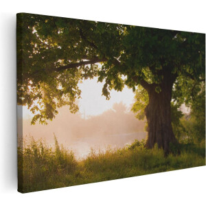 Artaza Canvas Schilderij Eikenboom Aan Het Water Met Volle Bladeren - 90x60 - Foto Op Canvas - Canvas Print - Muurdecoratie