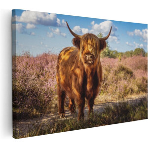 Artaza Canvas Schilderij Schotse Hooglander Koe In De Wei - 30x20 - Klein - Foto Op Canvas - Canvas Print