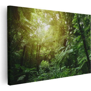 Artaza Canvas Schilderij Tropische Jungle Met Zonneschijn - 120x80 - Groot - Foto Op Canvas - Wanddecoratie Woonkamer