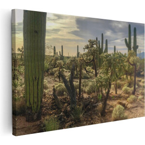 Artaza Canvas Schilderij Cactus Planten in het Wild - 60x40 - Foto Op Canvas - Canvas Print