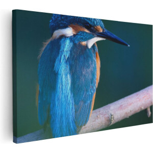 Artaza Canvas Schilderij Blauwe IJsvogel Op Een Tak - 60x40 - Foto Op Canvas - Canvas Print
