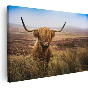 Artaza Canvas Schilderij Schotse Hooglander Koe In Het Veld - 120x80 cm - Groot - Wanddecoratie Woonkamer - Schilderijen - Muurdecoratie