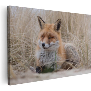 Artaza Canvas Schilderij Vos - 120x80 cm - Groot - Wanddecoratie Dieren - Muurdecoratie Duinen - Schilderijen Op Canvas