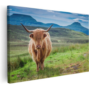 Artaza Canvas Schilderij Schotse Hooglander In De Wei - Kleur - 60x40 - Foto Op Canvas - Canvas Print