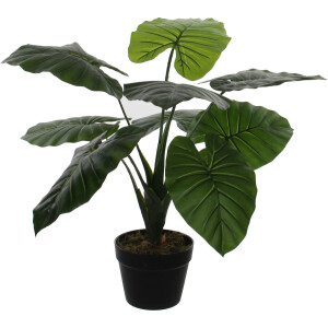 Groene Colocasia Taro kunstplant 60 cm in zwarte plastic pot - Kunstplanten/nepplanten