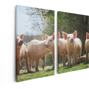 Artaza Canvas Schilderij Tweeluik Groep Jonge Varkens - 80x60 - Foto Op Canvas - Canvas Print