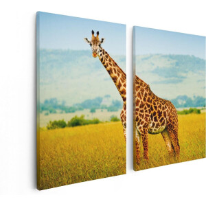 Artaza Canvas Schilderij Tweeluik Giraffe In Het Veld - 80x60 - Foto Op Canvas - Canvas Print