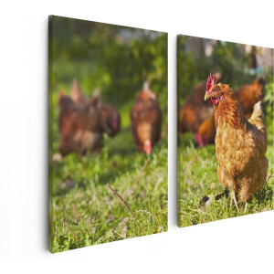 Artaza Canvas Schilderij Tweeluik Kippen in het Gras - 80x60 - Foto Op Canvas - Canvas Print